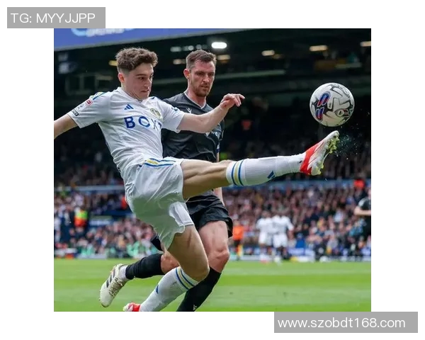 英冠最新积分榜分析及各队表现总结展望未来赛季走势