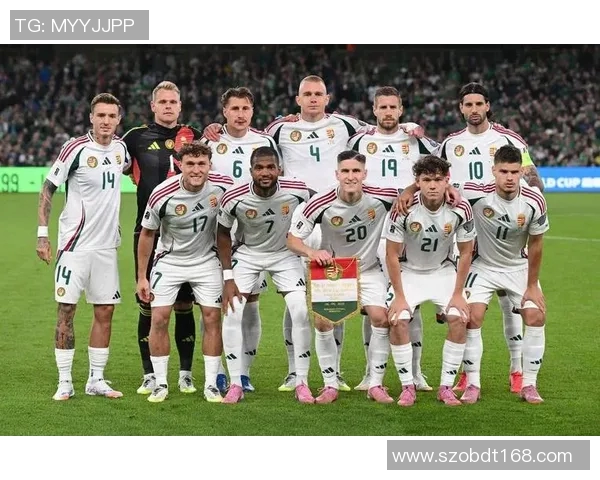 葡萄牙与乌克兰足球对决阵容分析及战术解析